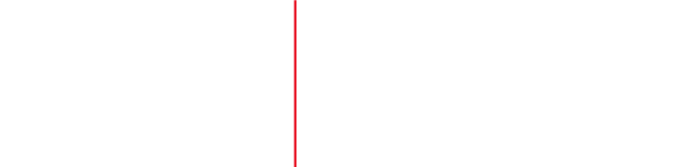 關於柏鴻